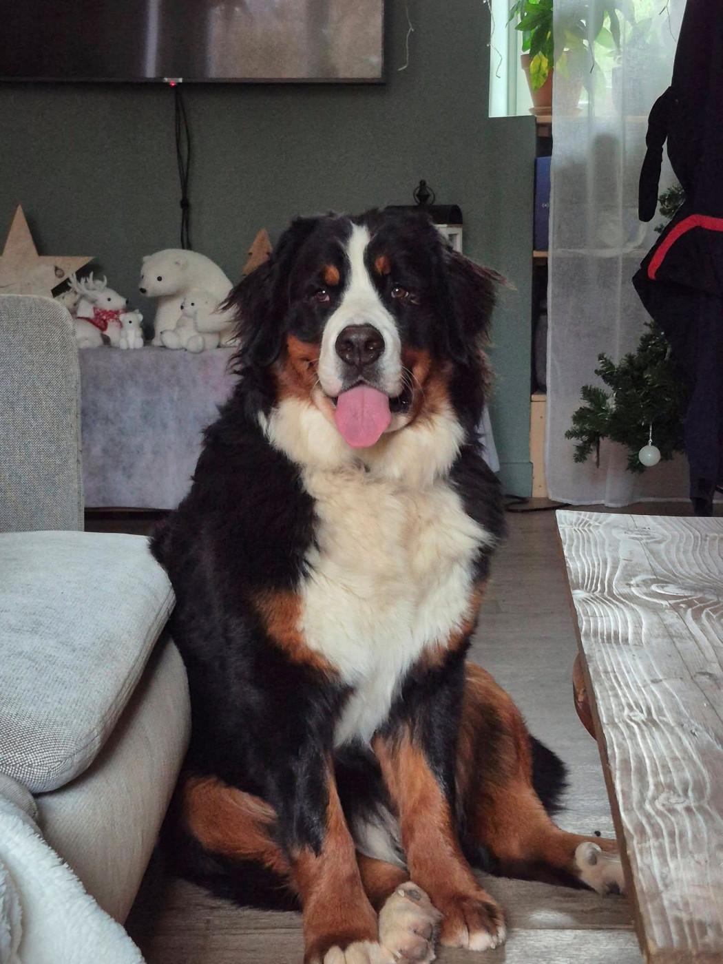 Aïka De L'Empreinte De Baya